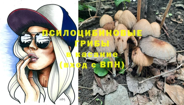 мет Горнозаводск