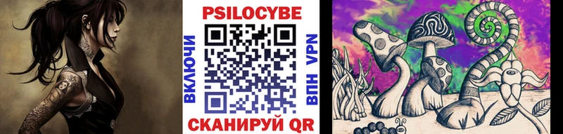 shop какой сайт  сколько стоит  Махачкала  Псилоцибиновые грибы ЛСД 